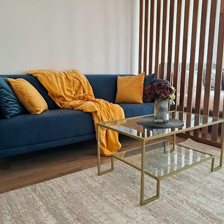 Mountain Breeze Luxury Apartment Ac & Parcare Privata Μπρασόβ Εξωτερικό φωτογραφία