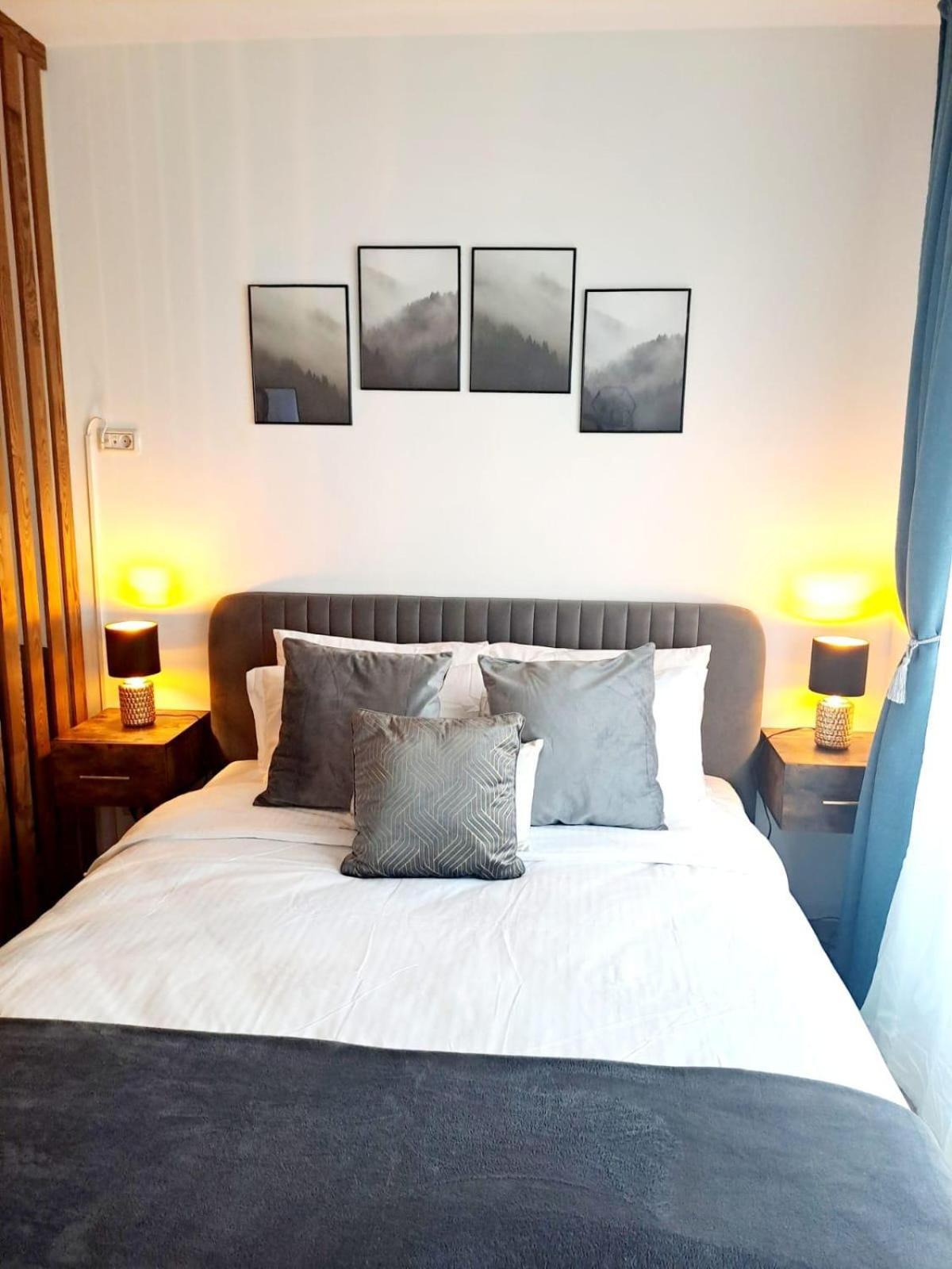 Mountain Breeze Luxury Apartment Ac & Parcare Privata Μπρασόβ Εξωτερικό φωτογραφία