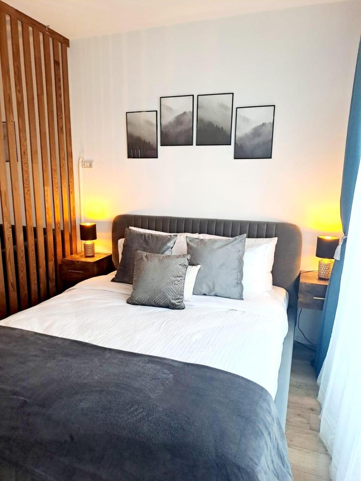 Mountain Breeze Luxury Apartment Ac & Parcare Privata Μπρασόβ Εξωτερικό φωτογραφία